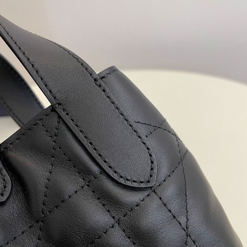 D10r Toujours Vertical Nano ToteBag(high-end grade)