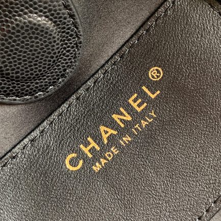 Ch**el 25 Medium Backpack(HIGH-END GRADE)
